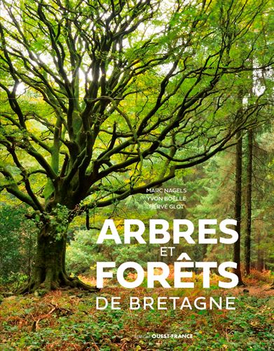 Exposition: Arbres et Forêts de Bretagne